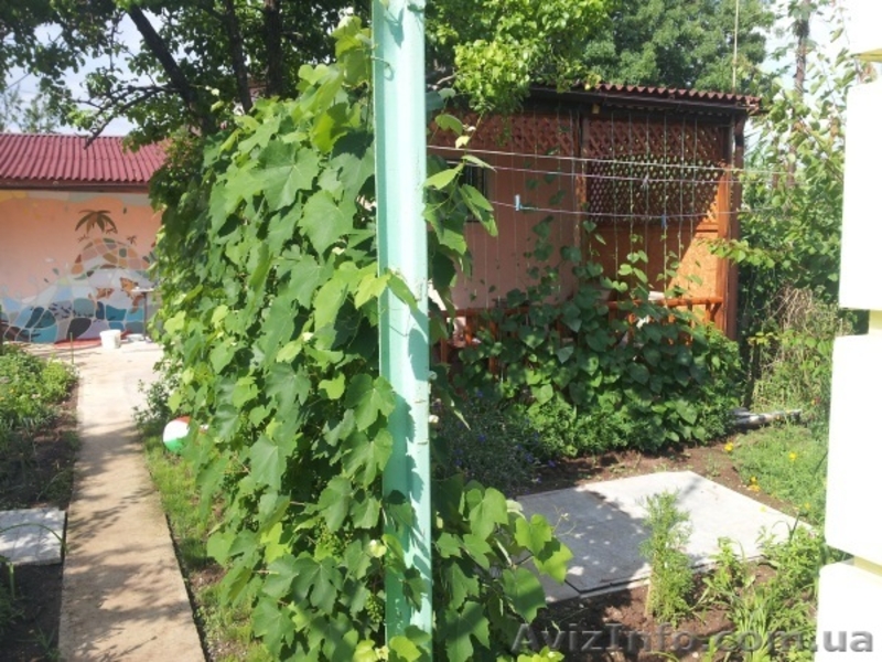 Сдам  домик в Новофедоровке под Саками, Западный Крым - <ro>Изображение</ro><ru>Изображение</ru> #1, <ru>Объявление</ru> #1460264