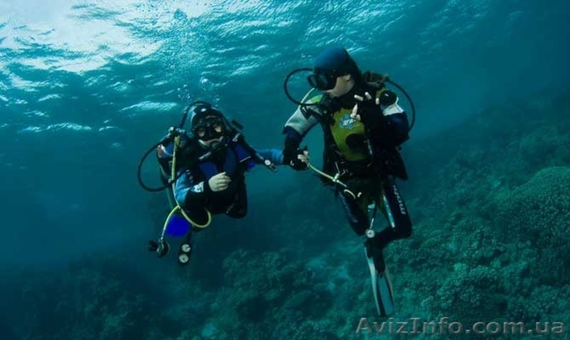 Подводная экскурсия в Голубой бухте Севастополя - <ro>Изображение</ro><ru>Изображение</ru> #2, <ru>Объявление</ru> #1530018
