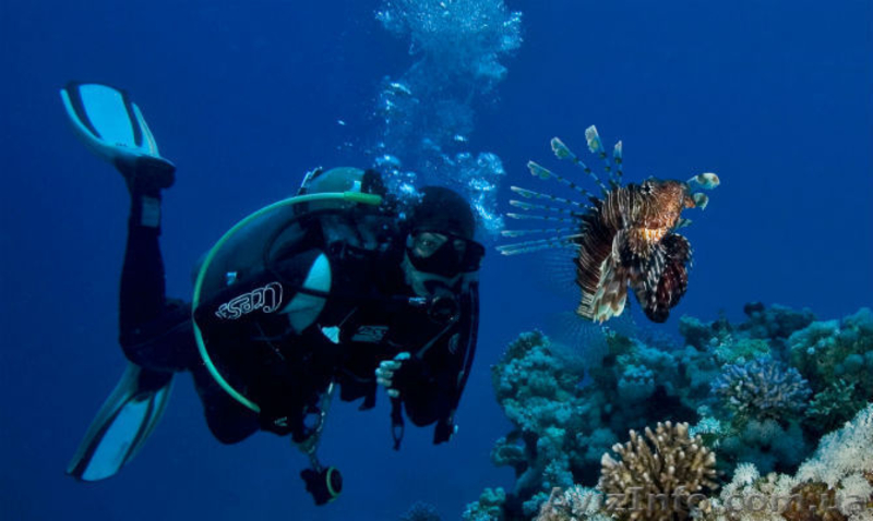 Подарочные сертификаты дайвклуба «Матерые бобры» Дайвинг в Севастополе - <ro>Изображение</ro><ru>Изображение</ru> #1, <ru>Объявление</ru> #1530020