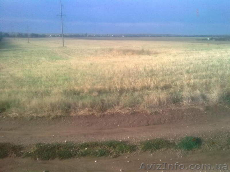 Продам Землю 3 Га - <ro>Изображение</ro><ru>Изображение</ru> #3, <ru>Объявление</ru> #1548947