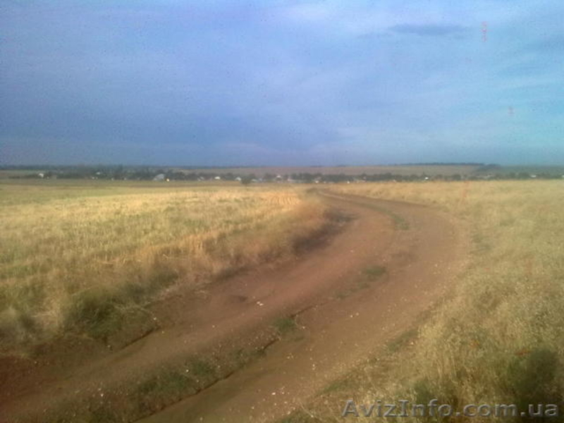 Продам Землю 3 Га - <ro>Изображение</ro><ru>Изображение</ru> #4, <ru>Объявление</ru> #1548947