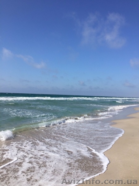 Продам участок в Крыму 9.5 соток - <ro>Изображение</ro><ru>Изображение</ru> #7, <ru>Объявление</ru> #1598829