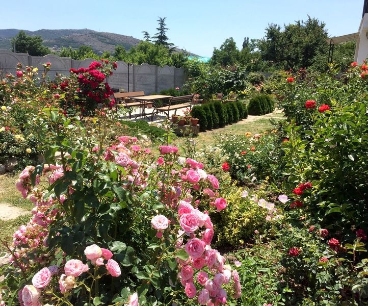 Коттедж «Астерия». Балаклава. Севастополь - <ro>Изображение</ro><ru>Изображение</ru> #3, <ru>Объявление</ru> #829227